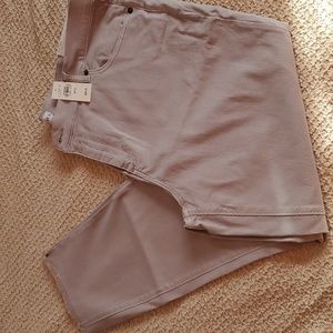 NWT Loft crop pants